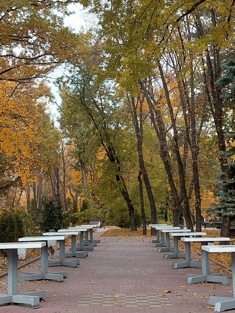 Photograph by Таисия Стафеева