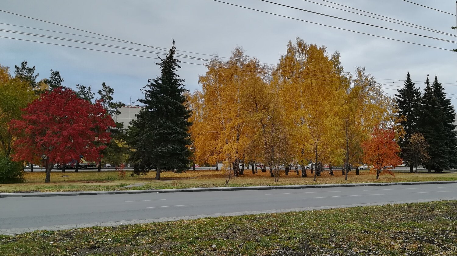 Photo #6620104