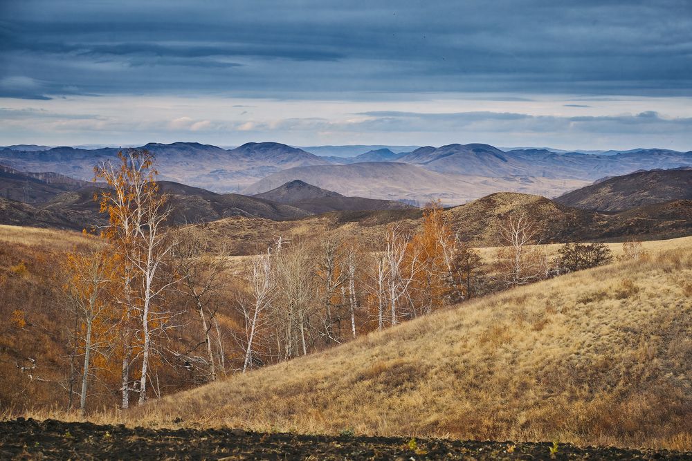 Photograph by Алексей Курочкин