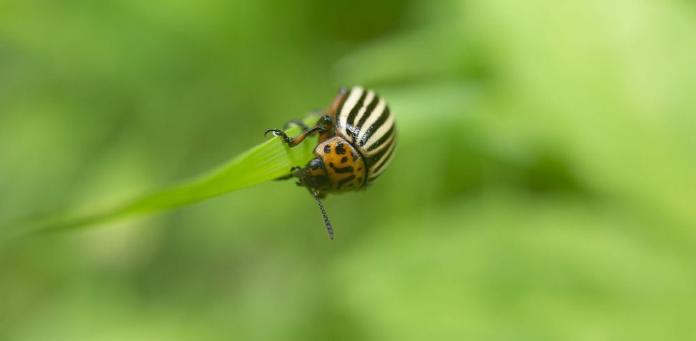 Photograph by Марина Бузина