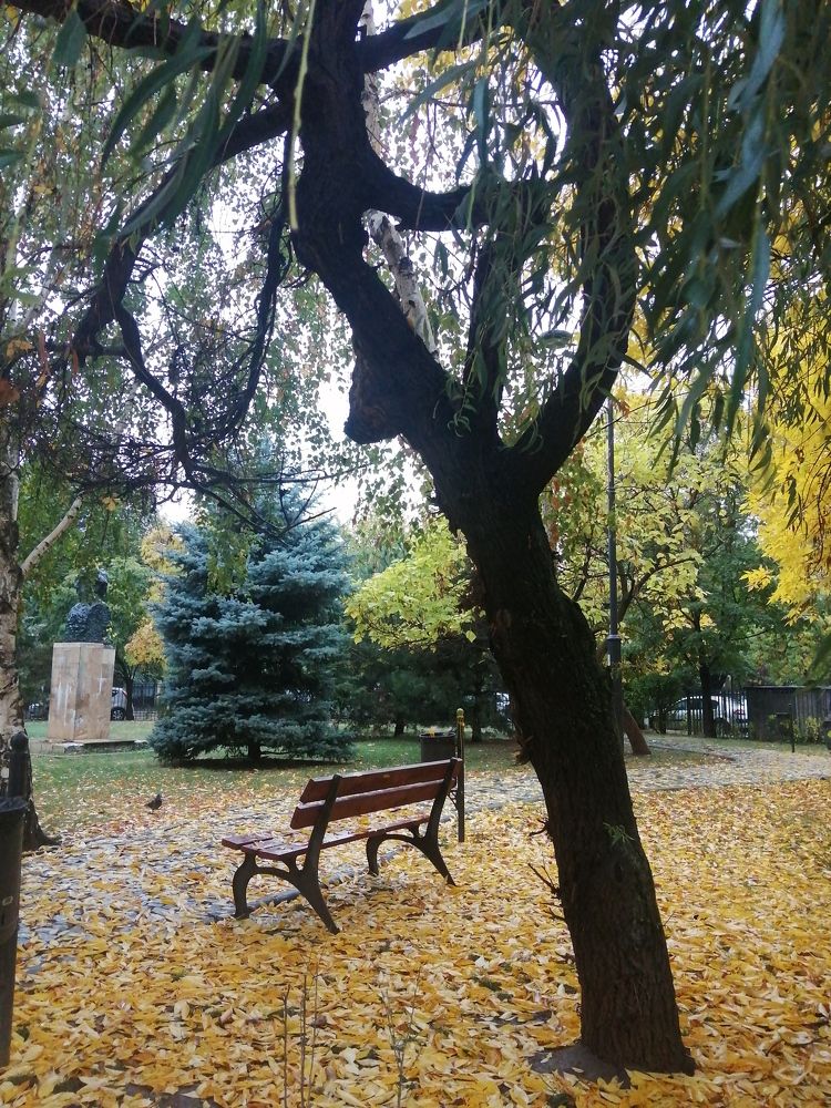 Photograph by Mila Gaziuc