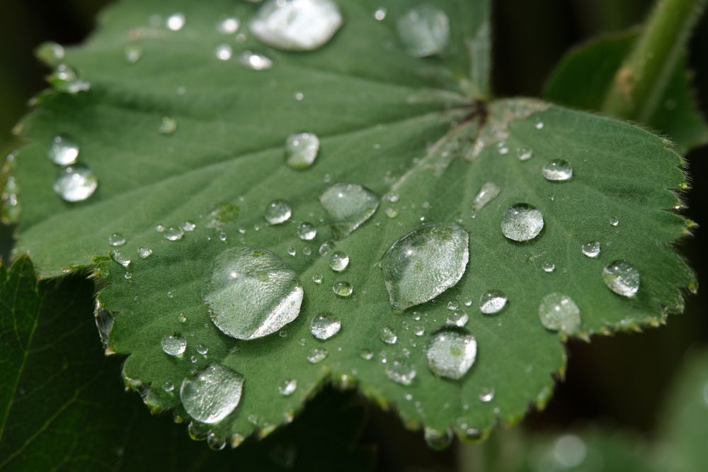 Photograph by Alexey Bogdanov