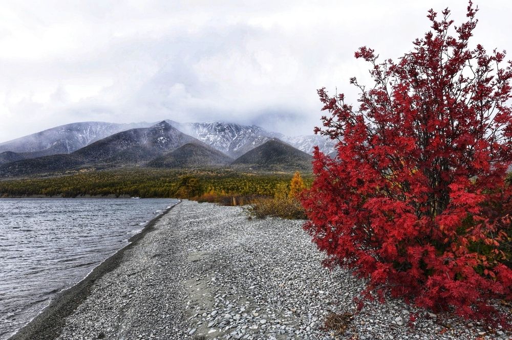 Photograph by Марина Корреа Ластра