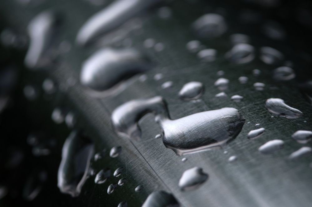 Photograph by Alexey Bogdanov