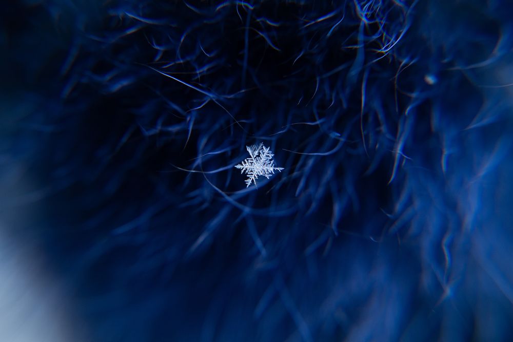 Photograph by Елена Игнатьева