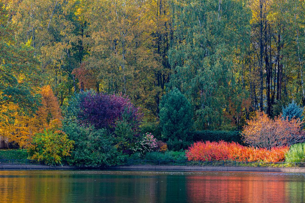 Photograph by Денис Гуляев