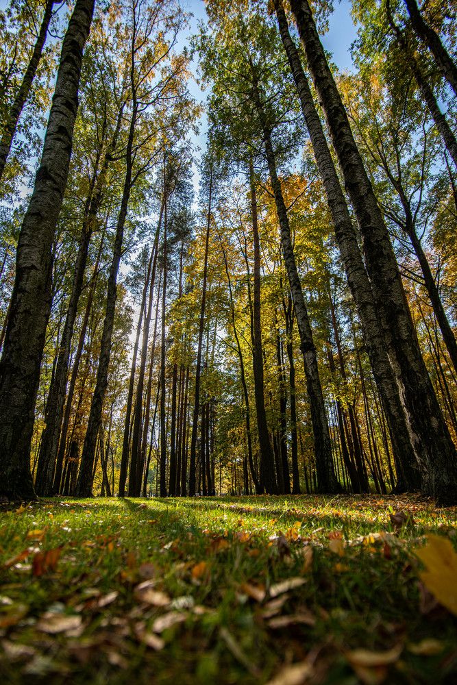 Photograph by Денис Гуляев