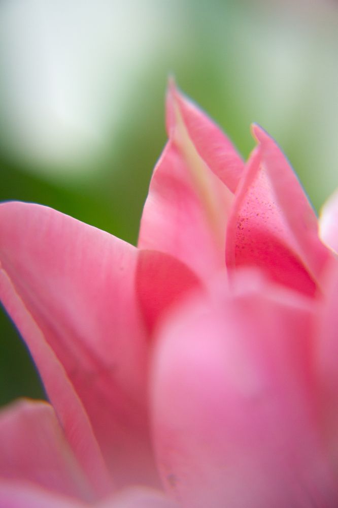 Photograph by Елена Игнатьева