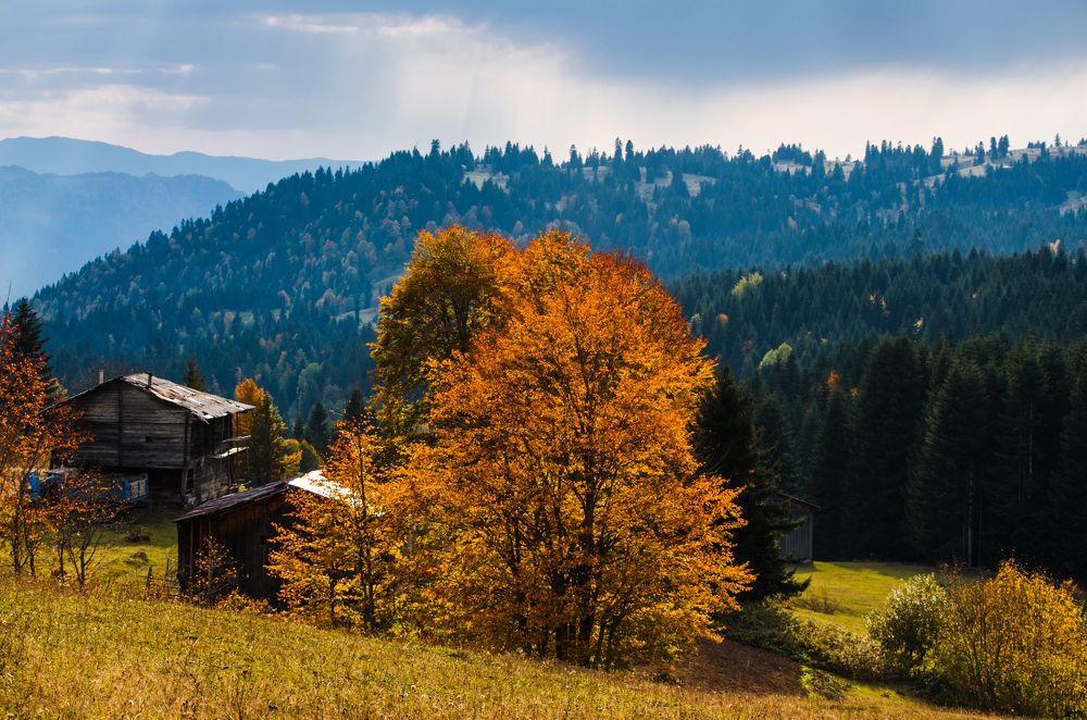 Осень в горной Аджарии