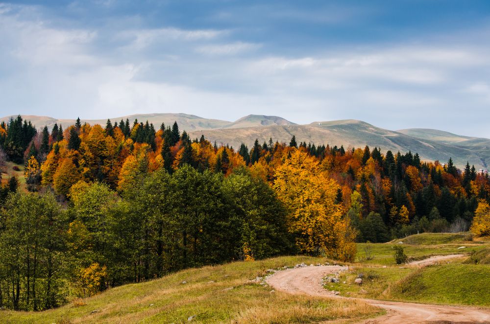 Осень в горах Грузии