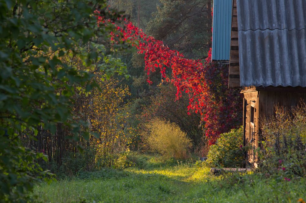 Photograph by Инна Юдина