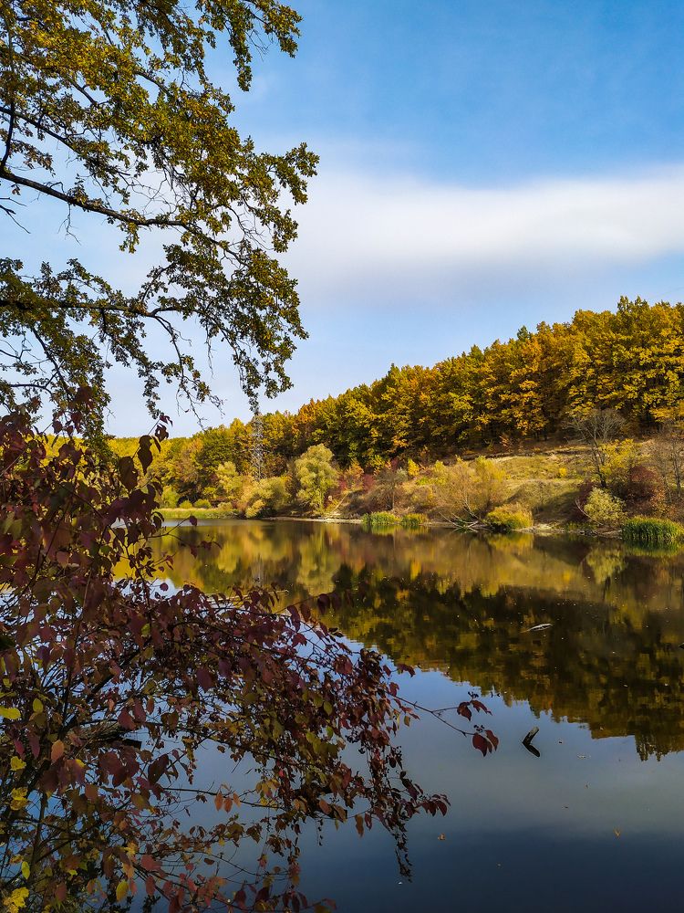 Photograph by Alekseeva Marina