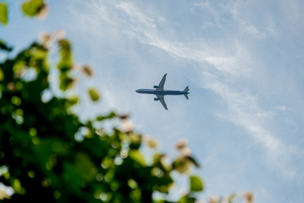 Photograph by Михаил Сидорович