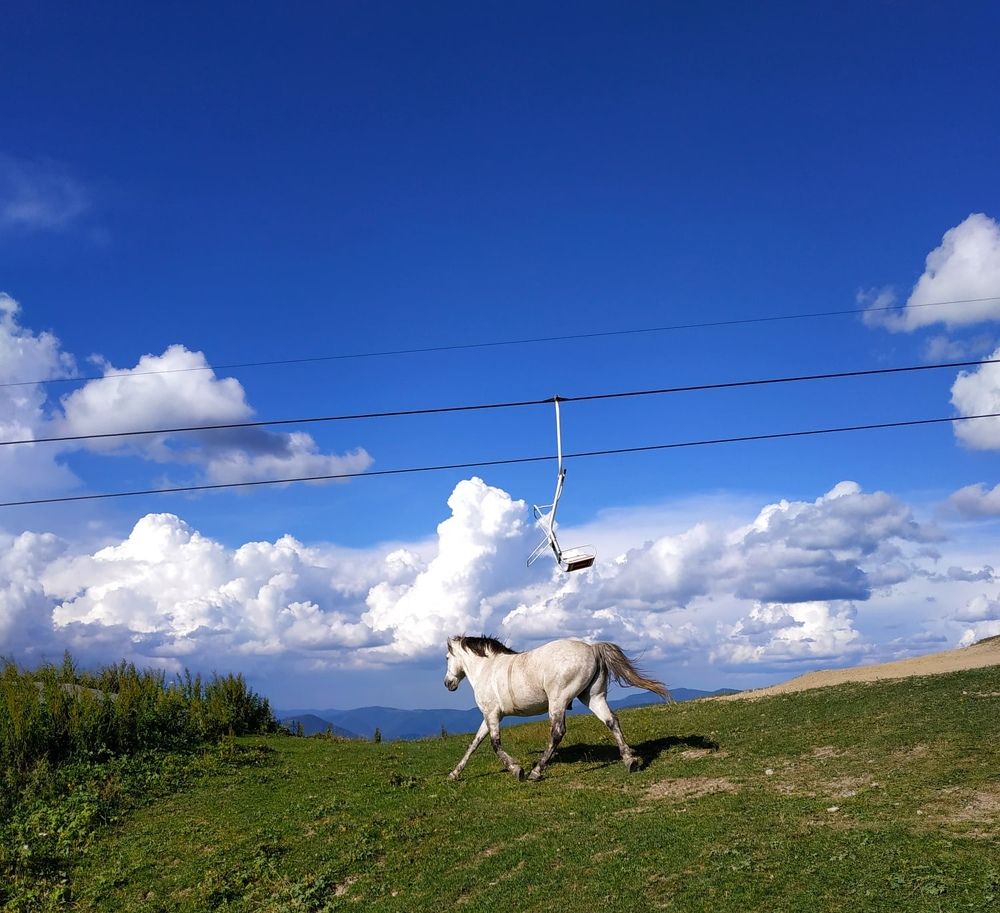 Photograph by Ольга