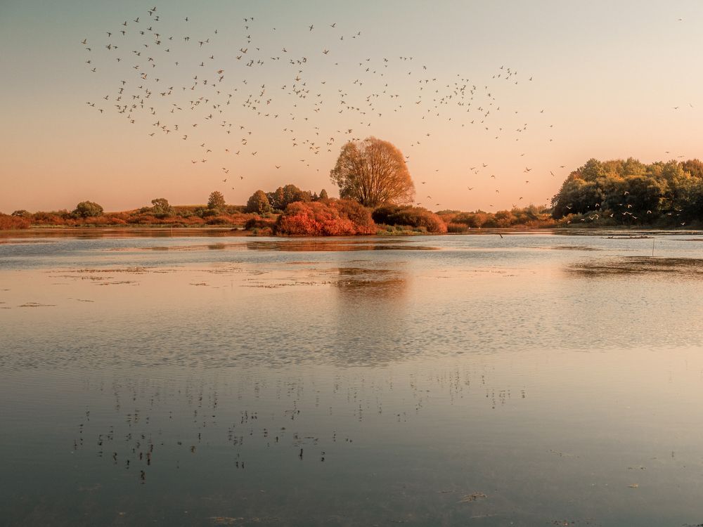 Фотография автора Мацкевич Андрей