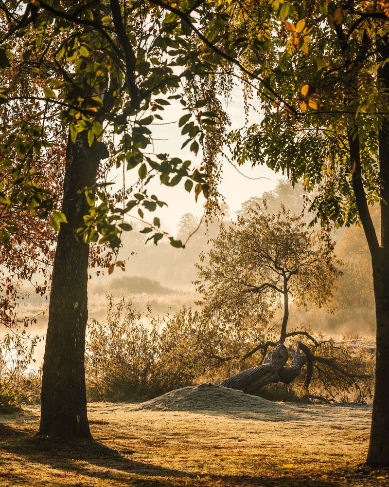 Photograph by SIARHEI RABCHONAK