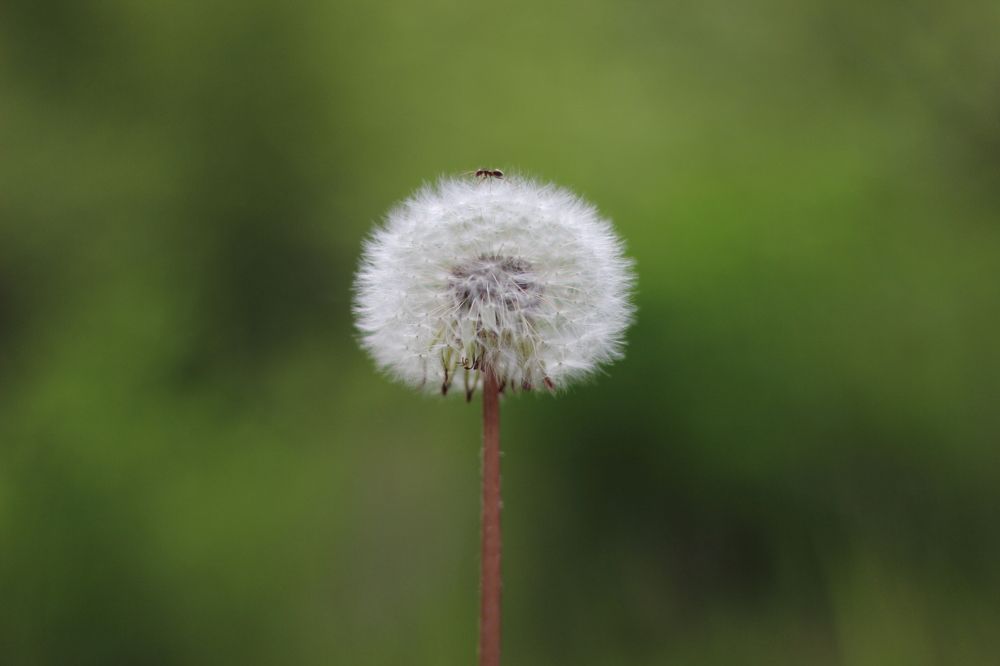 Photograph by Антон Чаузов