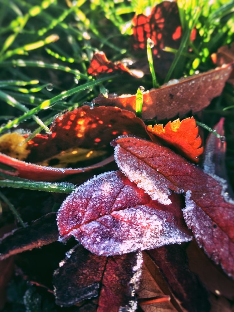 Photograph by Максим Пинчук