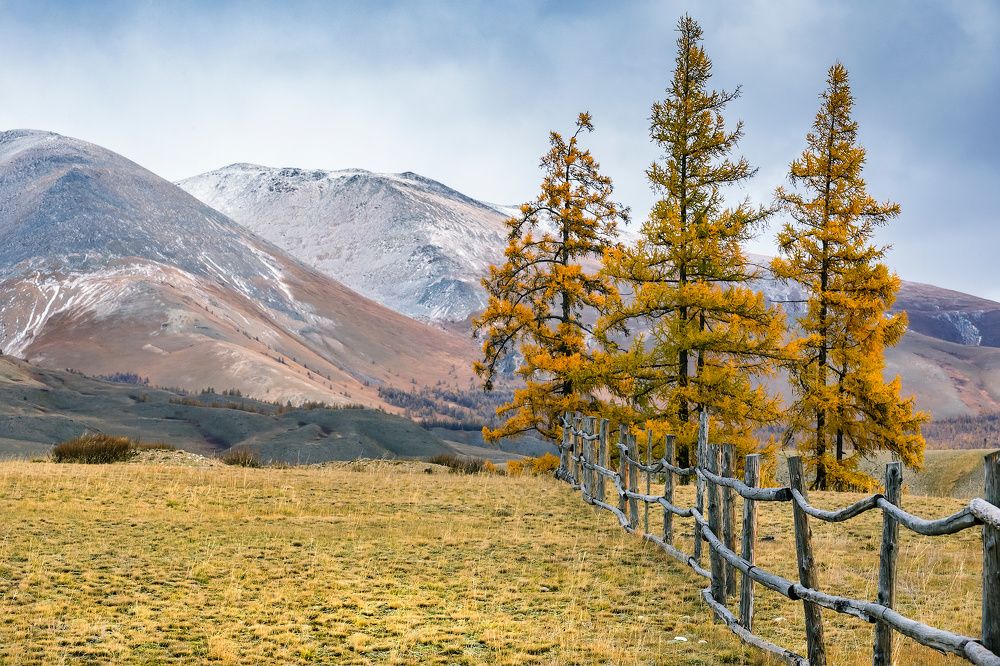 Photograph by Ярослав Лукьянов