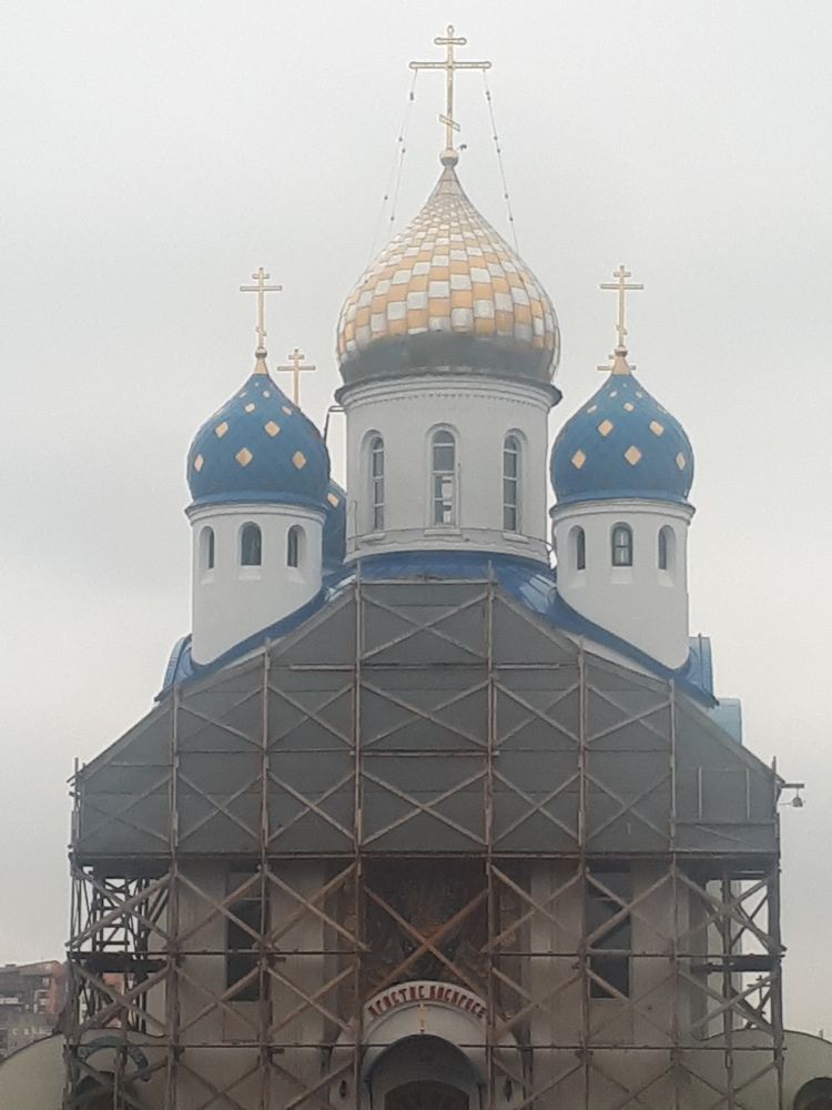 Фотография автора Alena Makushina