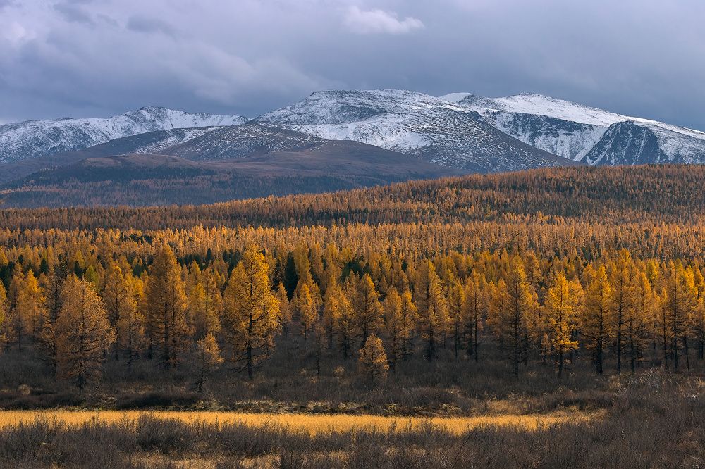 Photograph by Ярослав Лукьянов