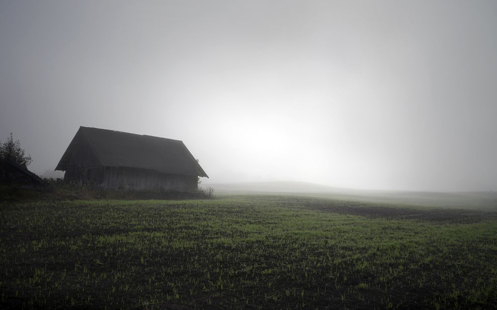 Photograph by Juris Buklovskis