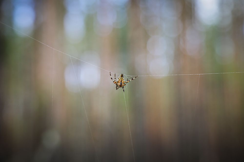 Photograph by Дмитрий Малышев