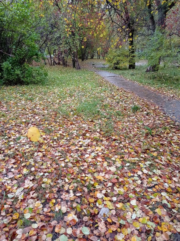 Photograph by НИНА АВЕРЬЯНОВА