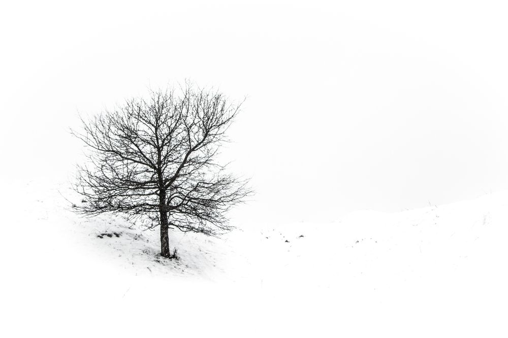 Photograph by Елена Игнатьева