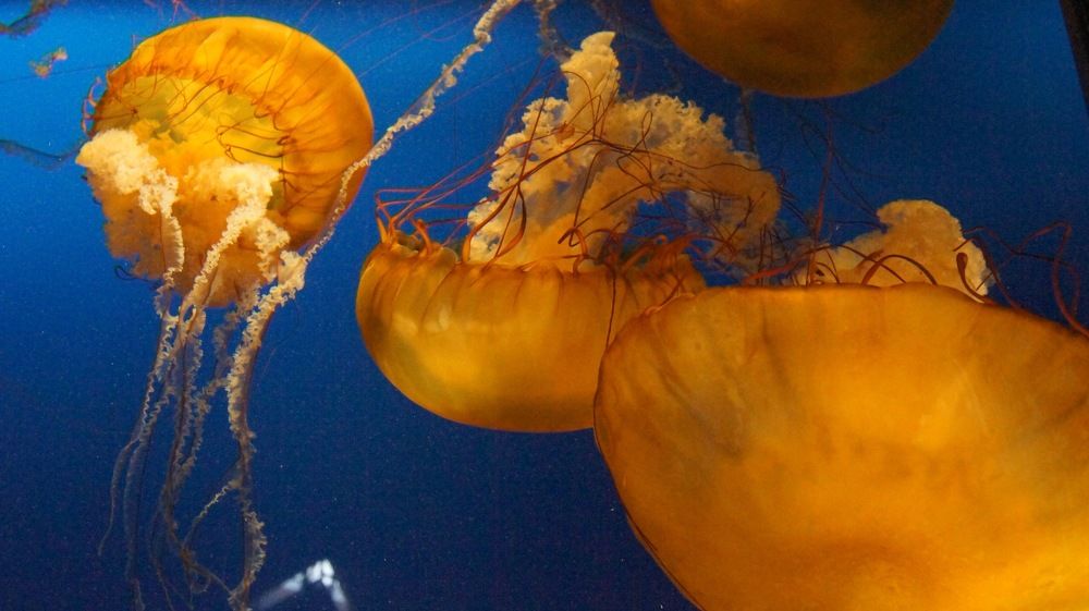 Photograph by Закревская Елизавета