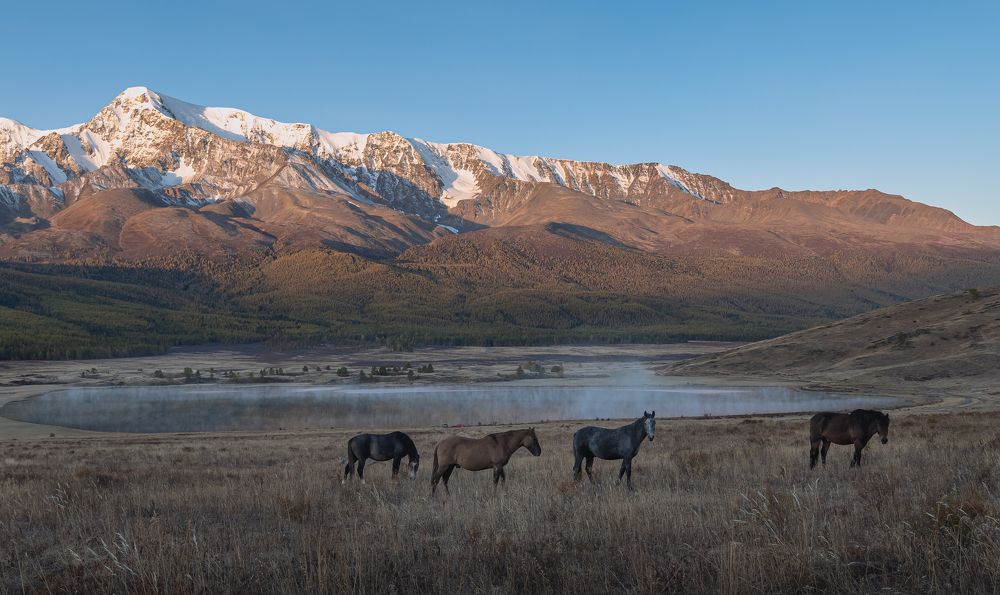 Photograph by Юрий Грамаков