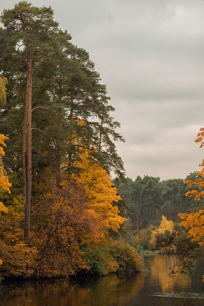 Photograph by LIDIYA HOLD