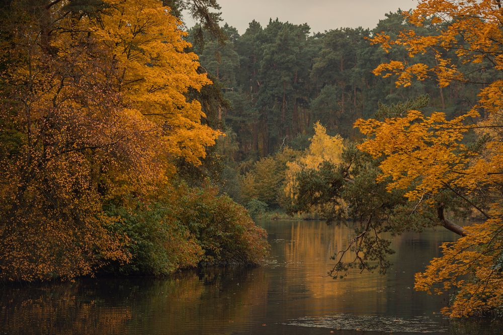 Photograph by LIDIYA HOLD