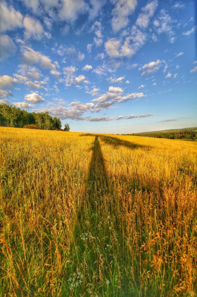 Photograph by Елена Воробьева