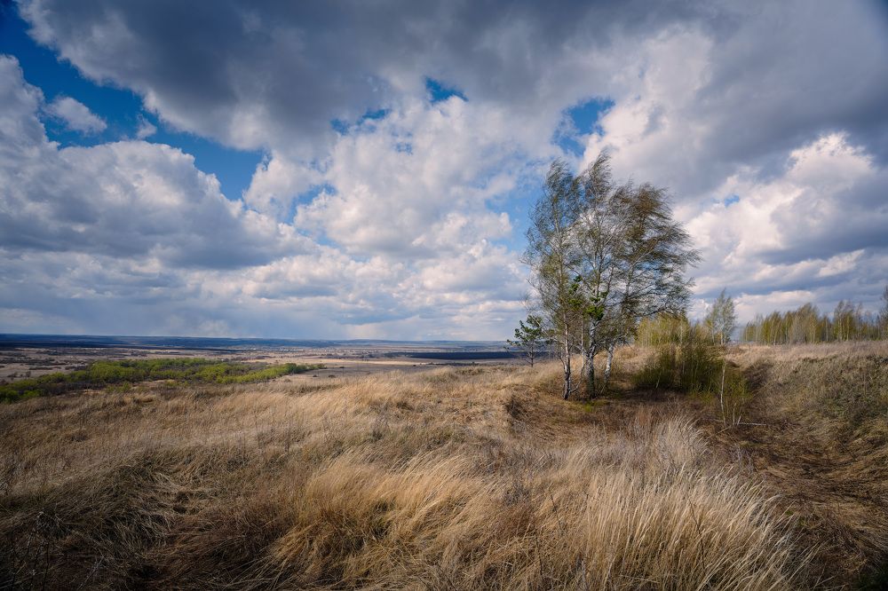 Photograph by Григорий Шалик