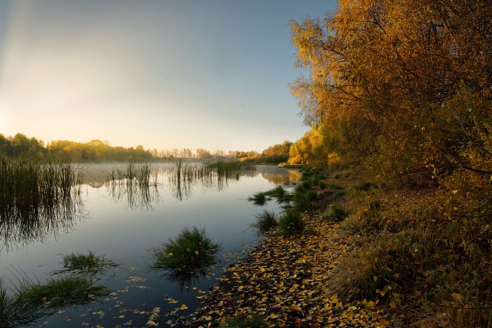 Photograph by Григорий Шалик