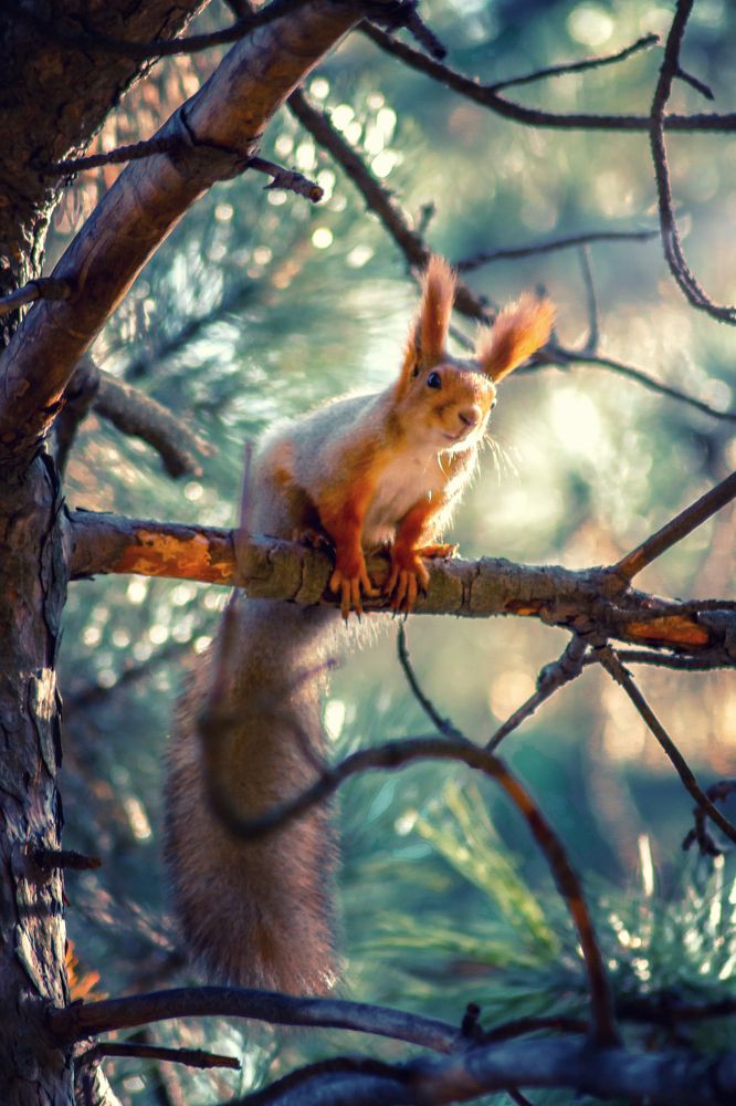 Photograph by Елена Игнатьева