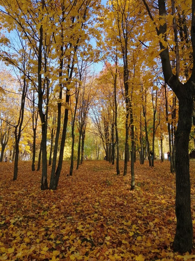 Photograph by Лиля