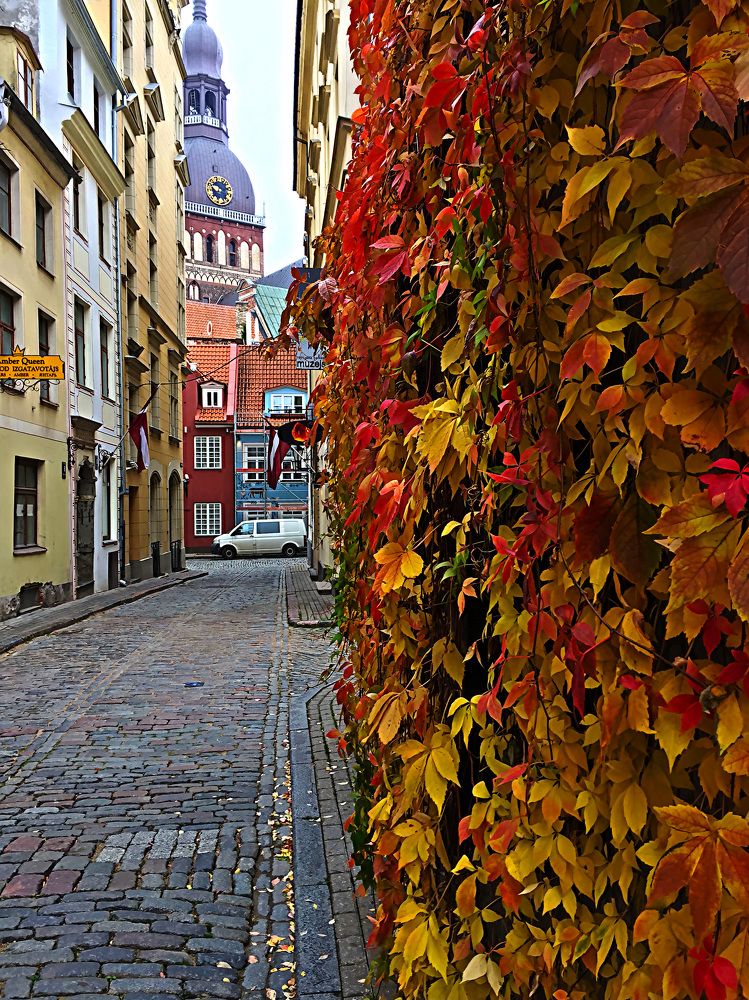 Photograph by Виталий Сеславинский