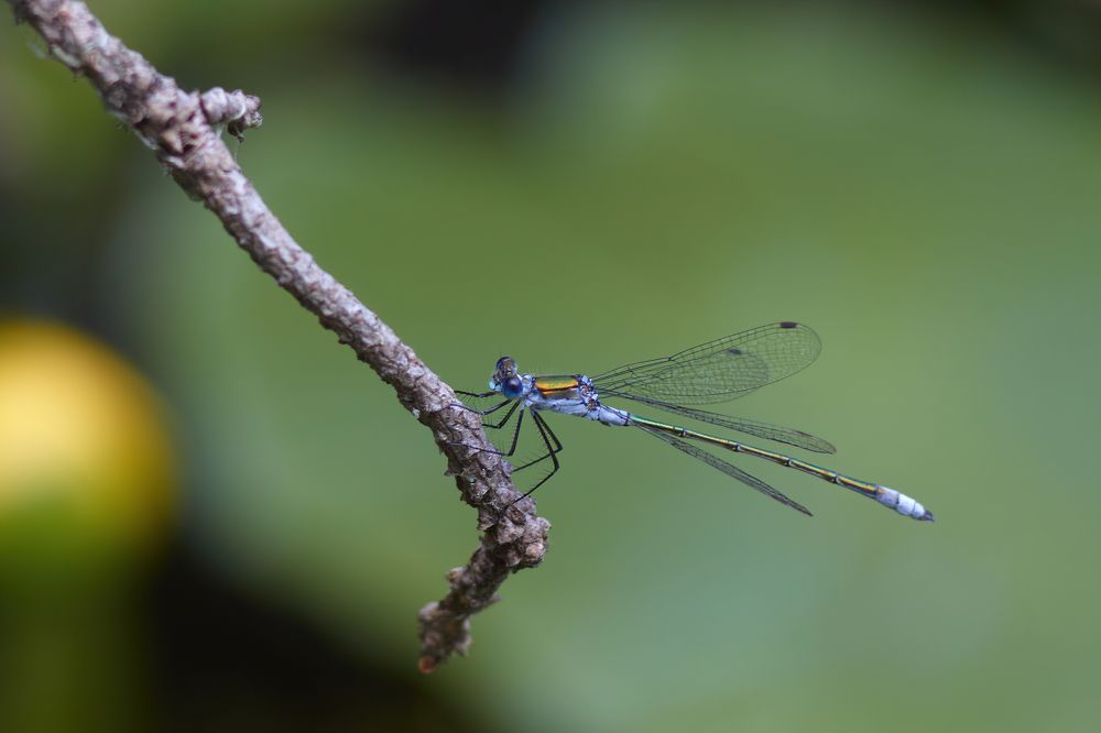 Фотография автора Сергей Расторгуев