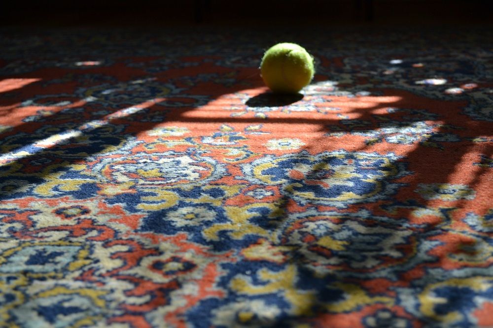 Фотография автора Анастасия