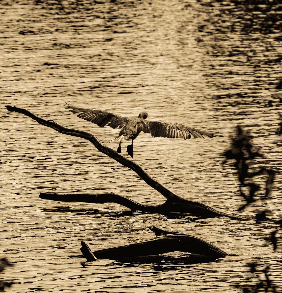 Photograph by Vitalii Kaznin