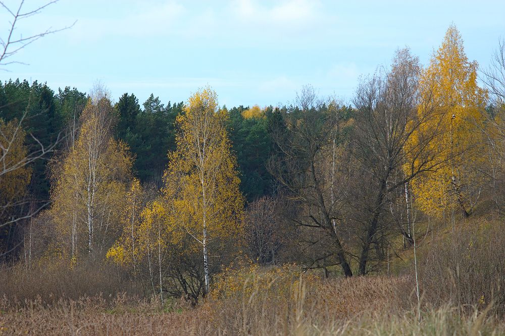 Photograph by Евгений Беленков