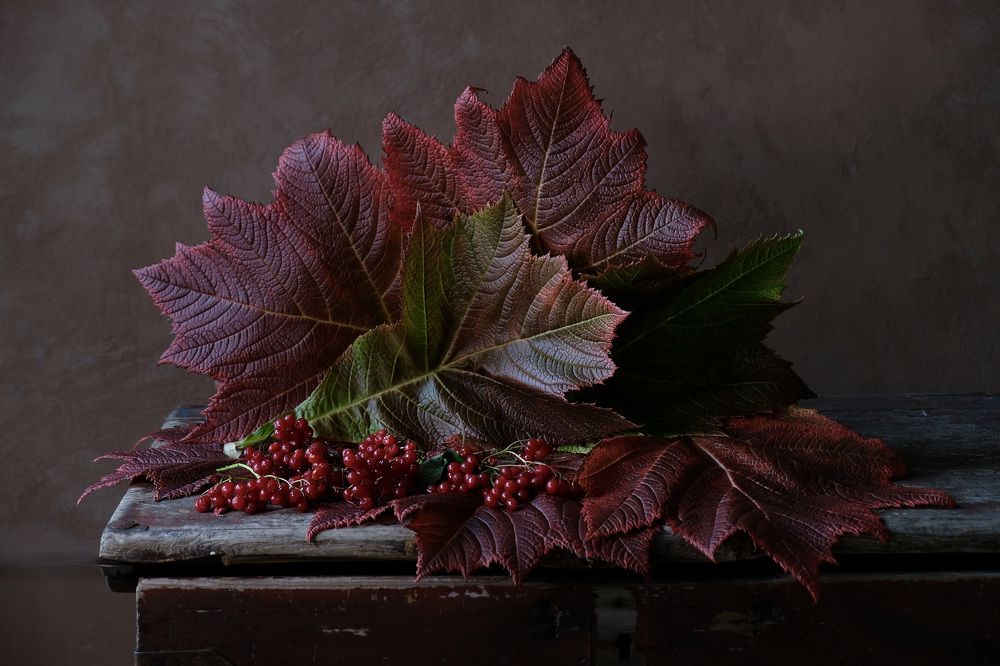Autumn leaves