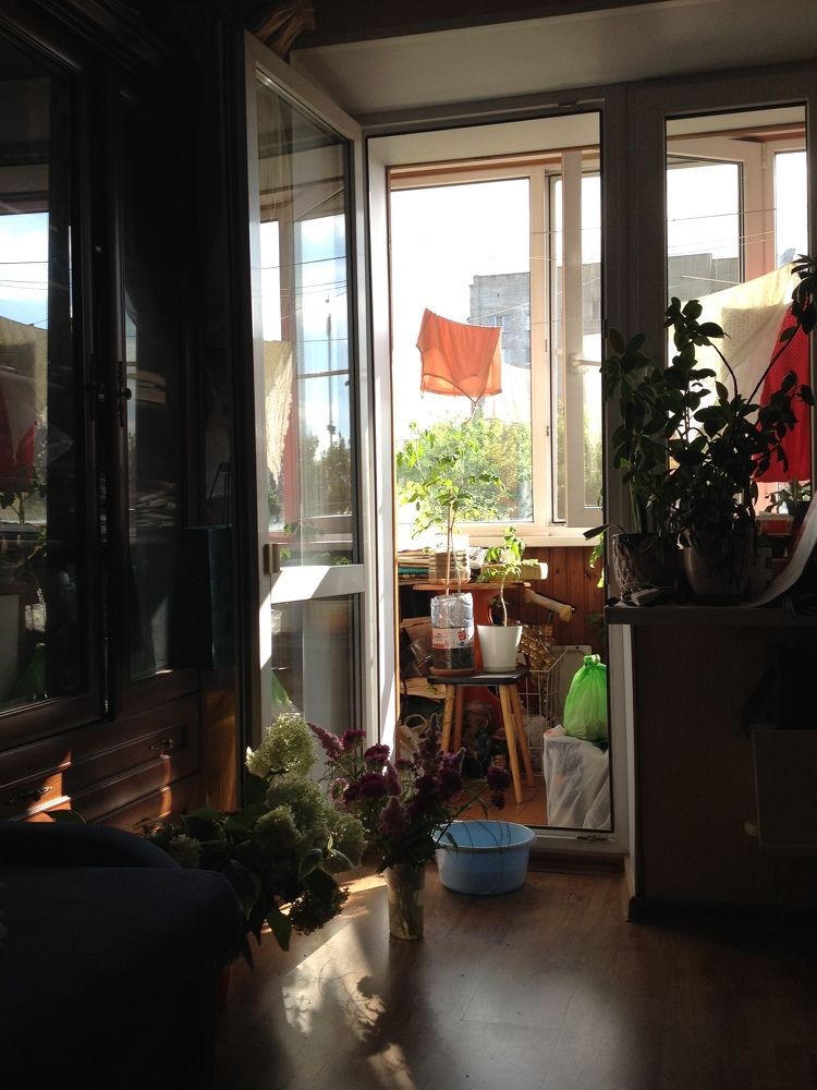 Фотография автора Анастасия