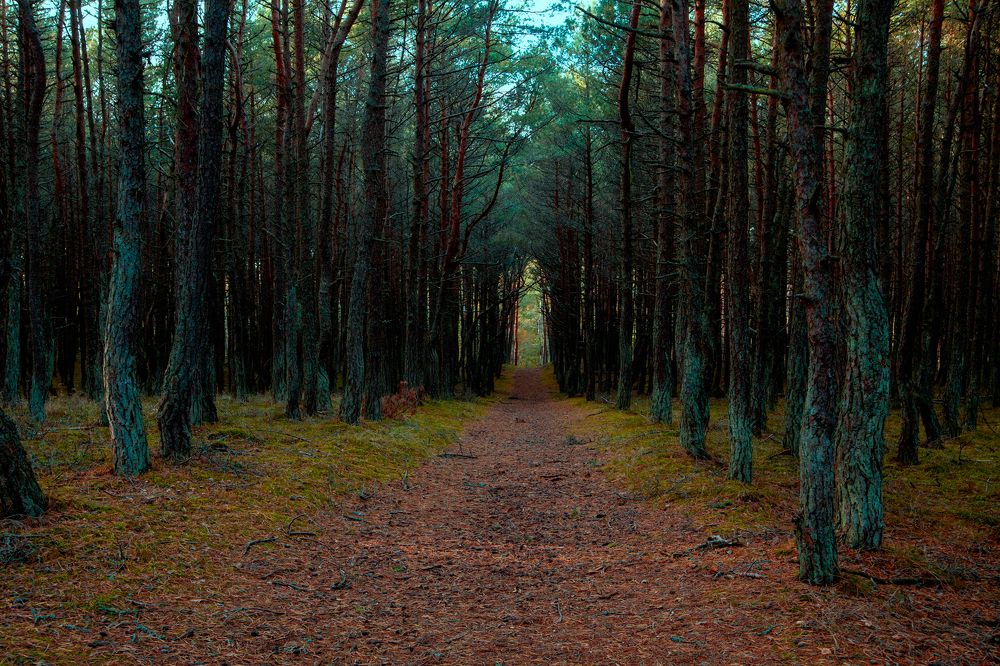 Photograph by Ильдар Сабиров