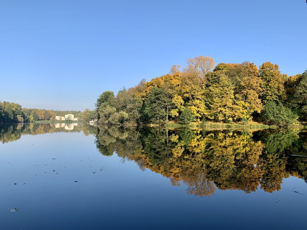 Цвета осеннего утра…