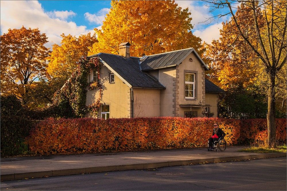 Краски осени