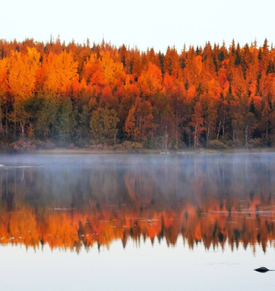 Осень на Кольском полуострове