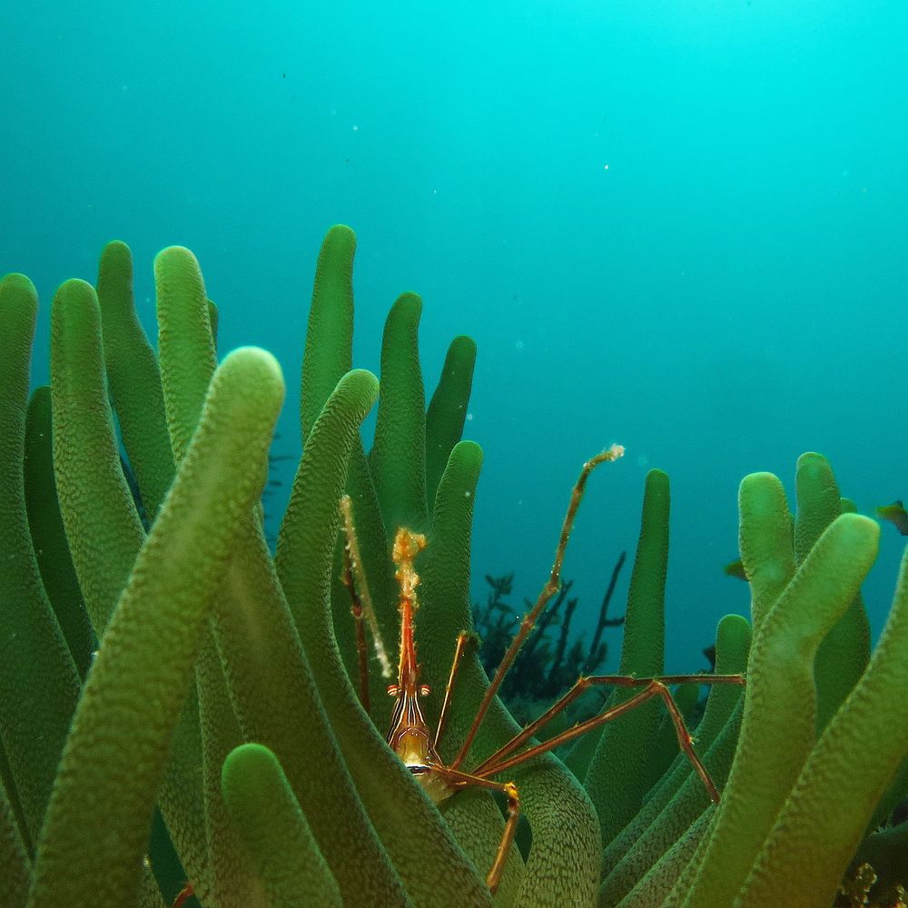 Фотография автора Ramon magaña